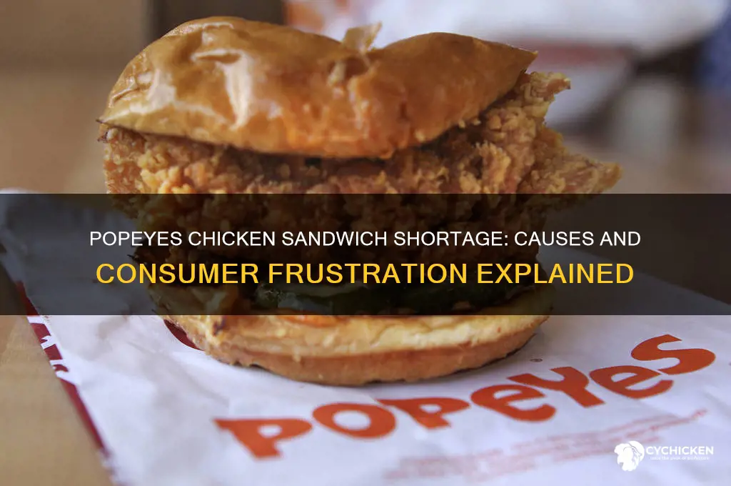 why is popeyes chicken sandwich out of stock