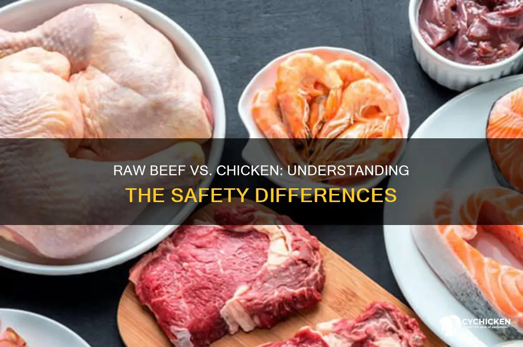 why is raw beef safer than raw chicken