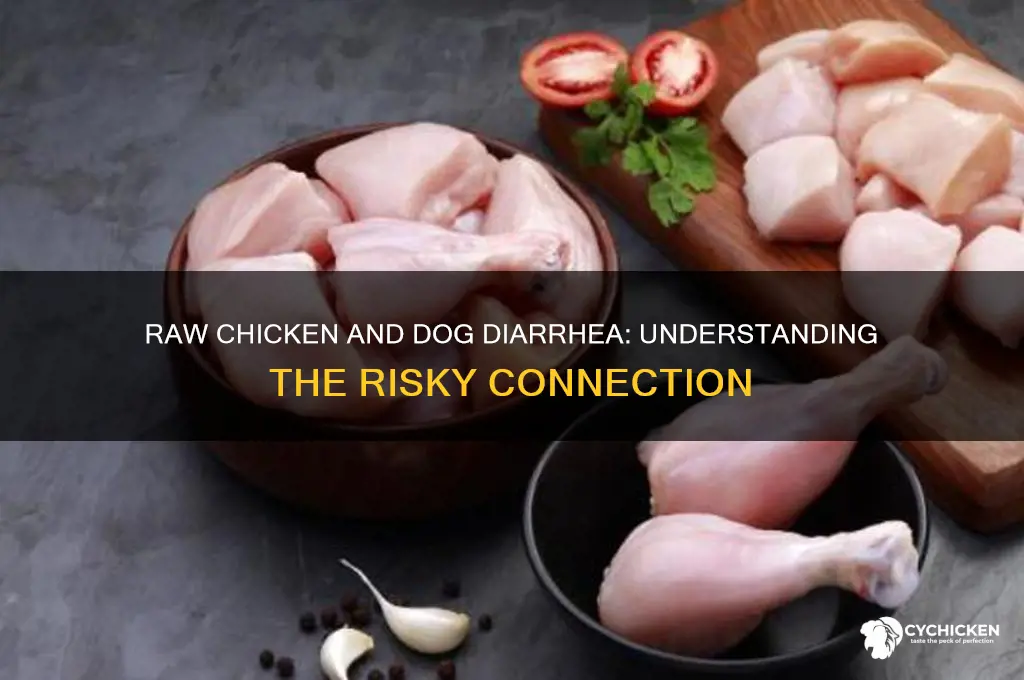 why is raw chicken giving my dog diahreah