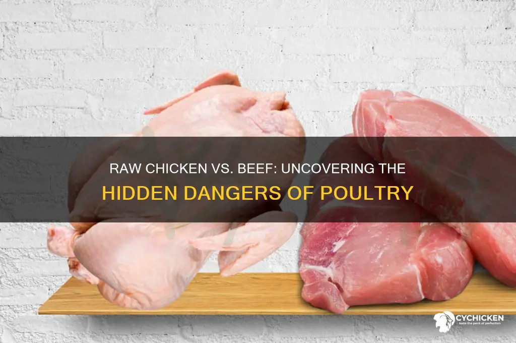 why is raw chicken worse than raw beef