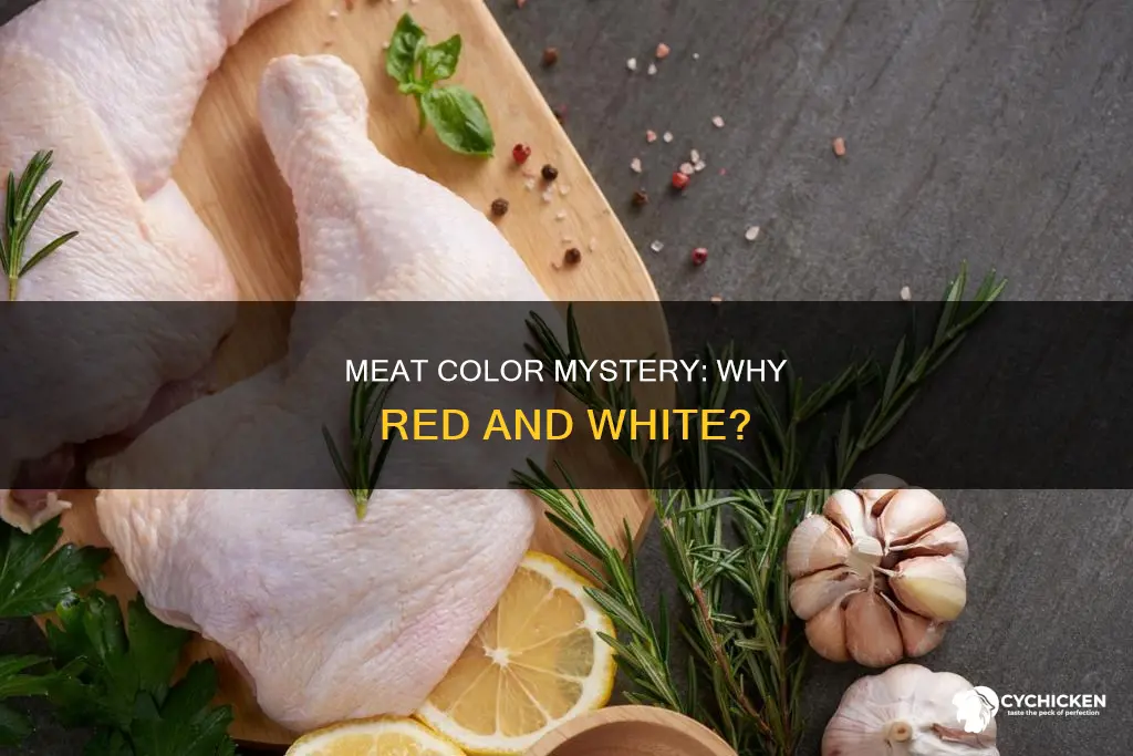 why is red meat red and chicken meat whiye