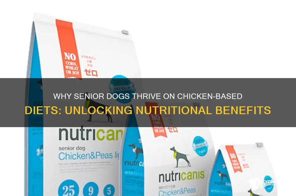why is senior dog food only with chicken