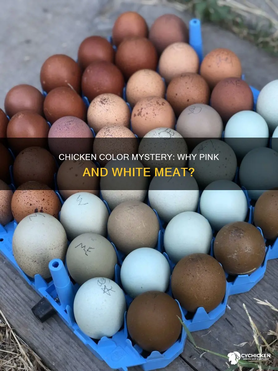 why is some chicken pieces whiter and some are pinker