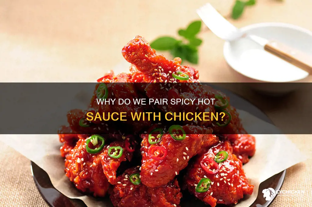why is the a chicken on hot sauce