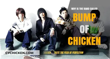 Bump of Chicken: Unraveling the Mystery Behind the Band's Unique Name