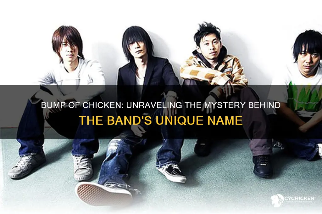 why is the band called bump of chicken