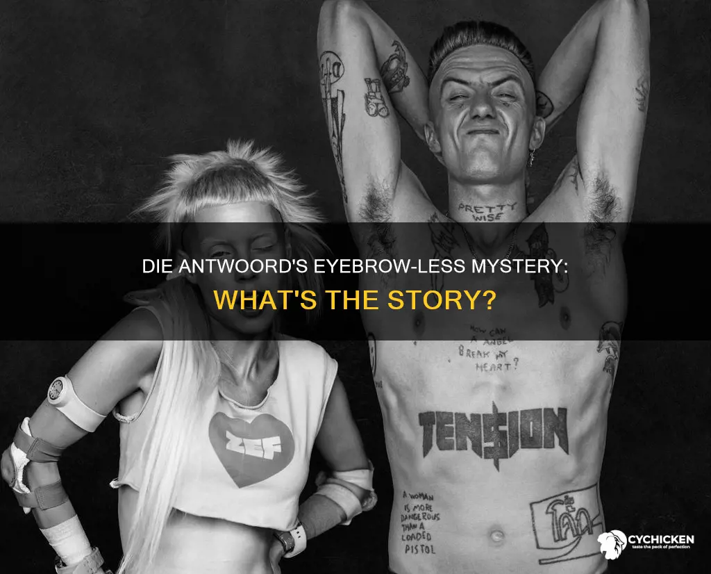 why is the chick from die antwoord have no eyebrows