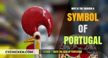Why Portugal's Iconic Symbol is the Chicken: A Cultural Journey