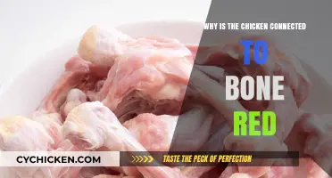 Why Chicken Bones Appear Red: Uncovering the Surprising Science Behind It