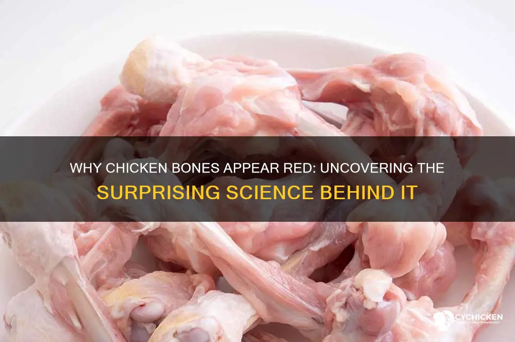why is the chicken connected to bone red