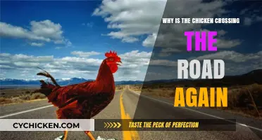 Why Chickens Keep Crossing Roads: Unraveling the Recurring Mystery