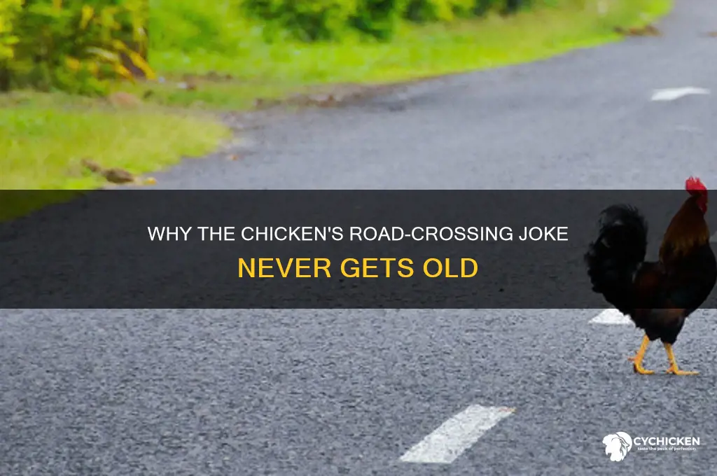 why is the chicken crossing the road funny