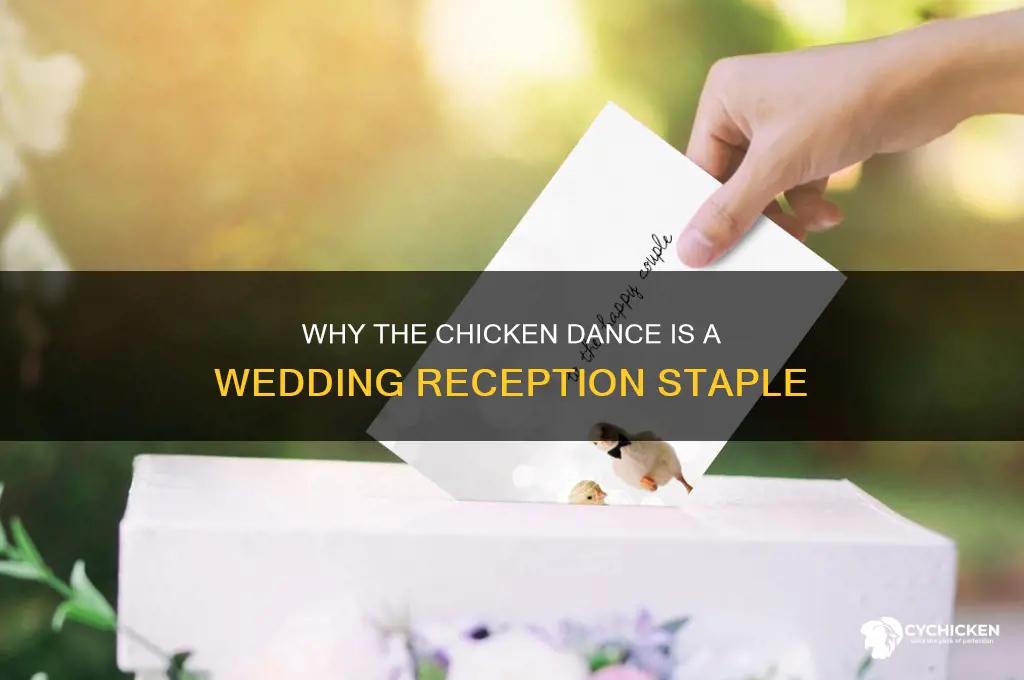 why is the chicken dance played at weddings