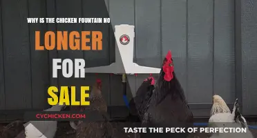 The Disappearance of the Chicken Fountain: A Market Mystery