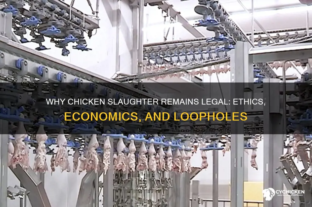 why is the chicken slaughter industry still lega