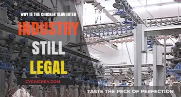 The Dark Truth: Why Chicken Slaughter Remains Legal Despite Ethical Concerns
