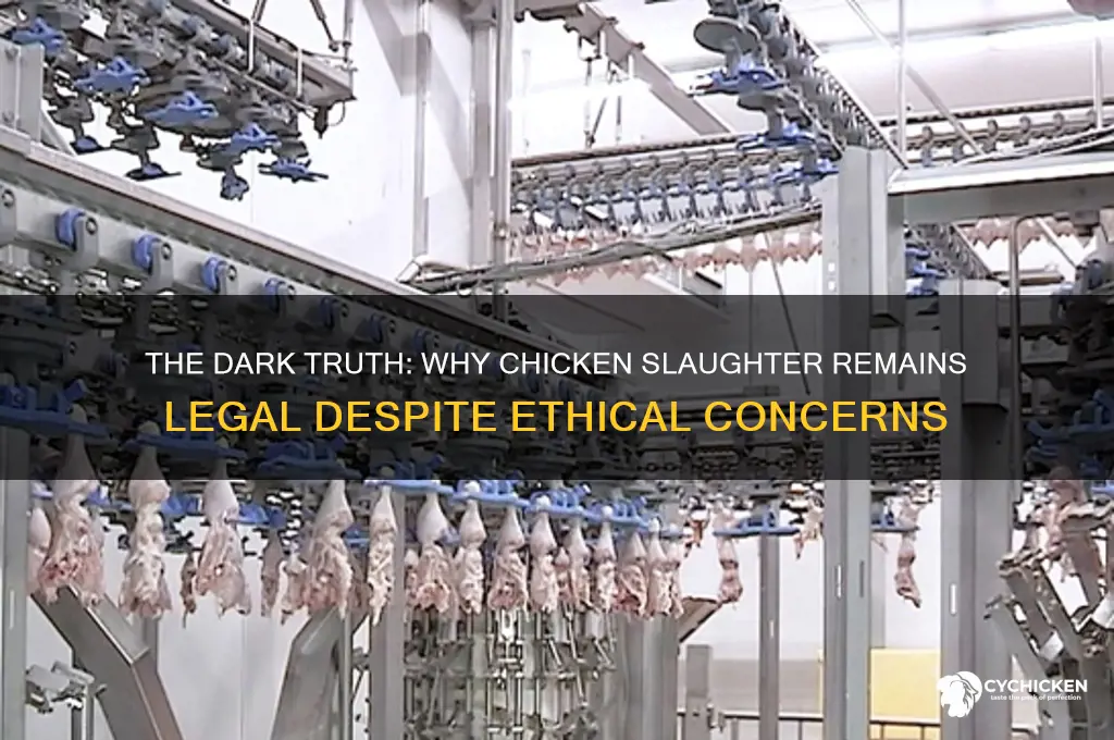 why is the chicken slaughter industry still legal