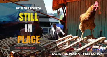 Why the Chicken Tax Persists: Unraveling Its Ongoing Impact