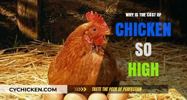 Why Chicken Prices Are Skyrocketing: Causes and Consumer Impact