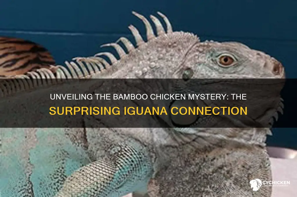 why is the iguana called the bamboo chicken