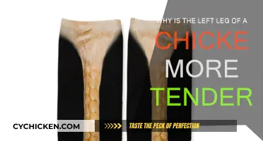 The Left Leg's Tenderness: Why Chicken Legs Vary