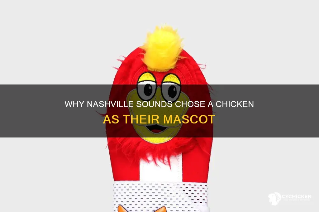 why is the nashville sounds mascot a chicken