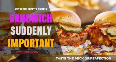 Popeyes Chicken Sandwich Craze: How a Fast-Food Item Became a Cultural Phenomenon