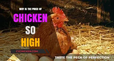 Why Chicken Prices Are Skyrocketing: Causes and Consumer Impact