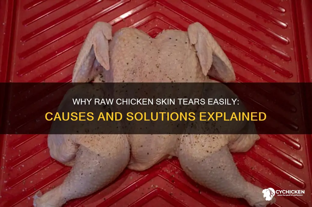 why is the skin tearing on raw chicken
