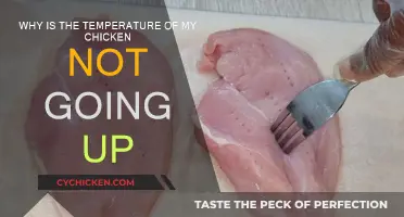 How to Fix Under-Temperature Chicken