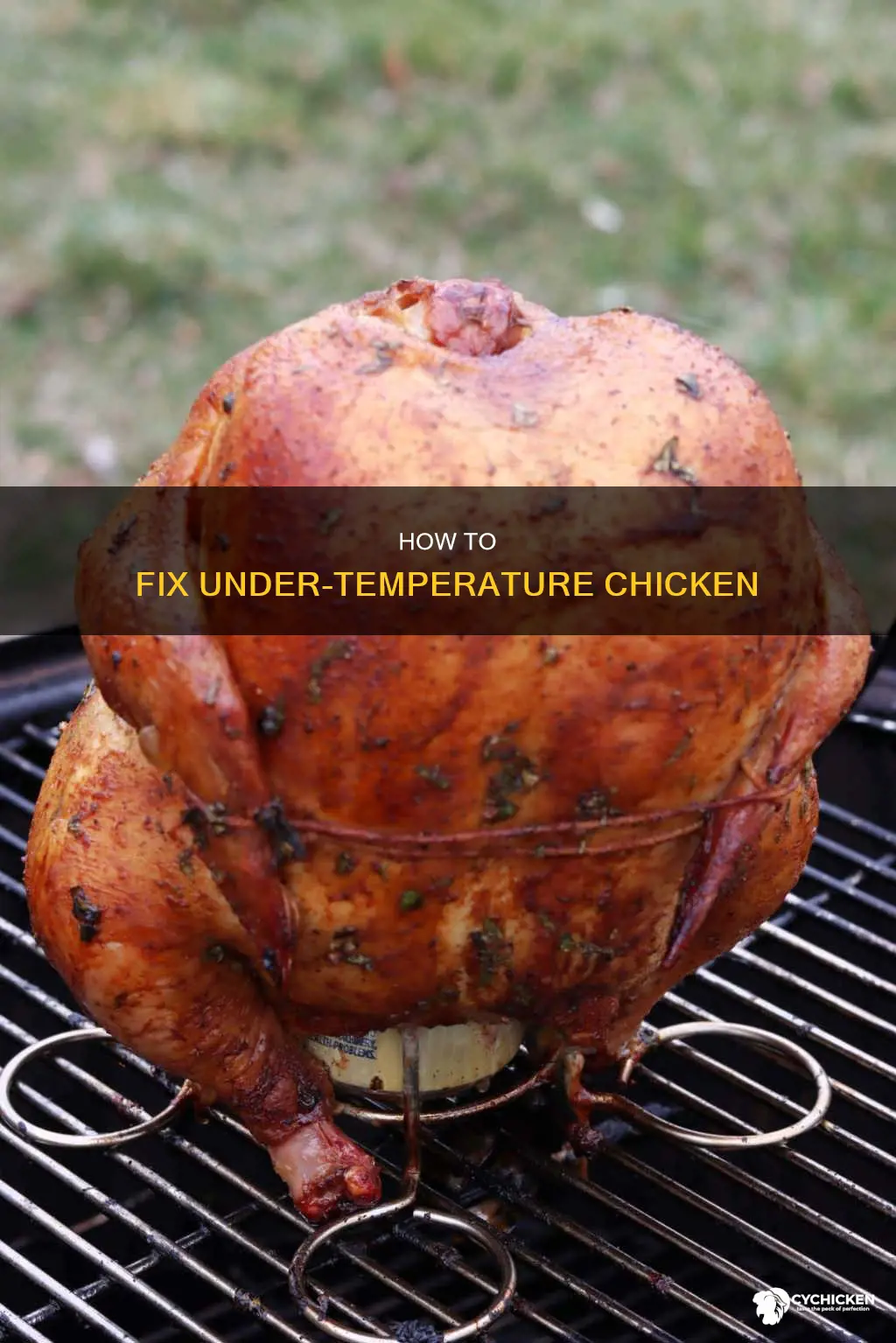 why is the temperature of my chicken not going up