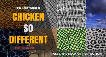 Exploring the Unique Texture of Chicken: Factors and Science Behind It