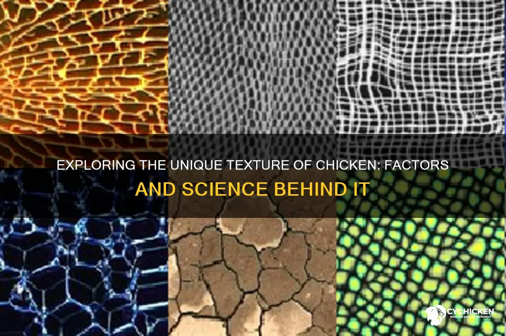 why is the texture of chicken so different