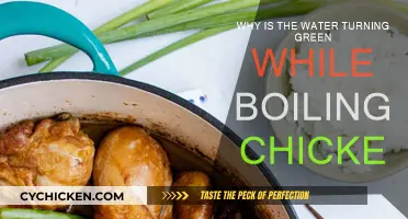 Green Water While Boiling Chicken: What's the Reason?