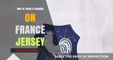 Why France's National Jersey Features a Chicken: Unraveling the Mystery