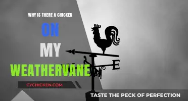 Why a Chicken Tops My Weathervane: History & Symbolism Explained