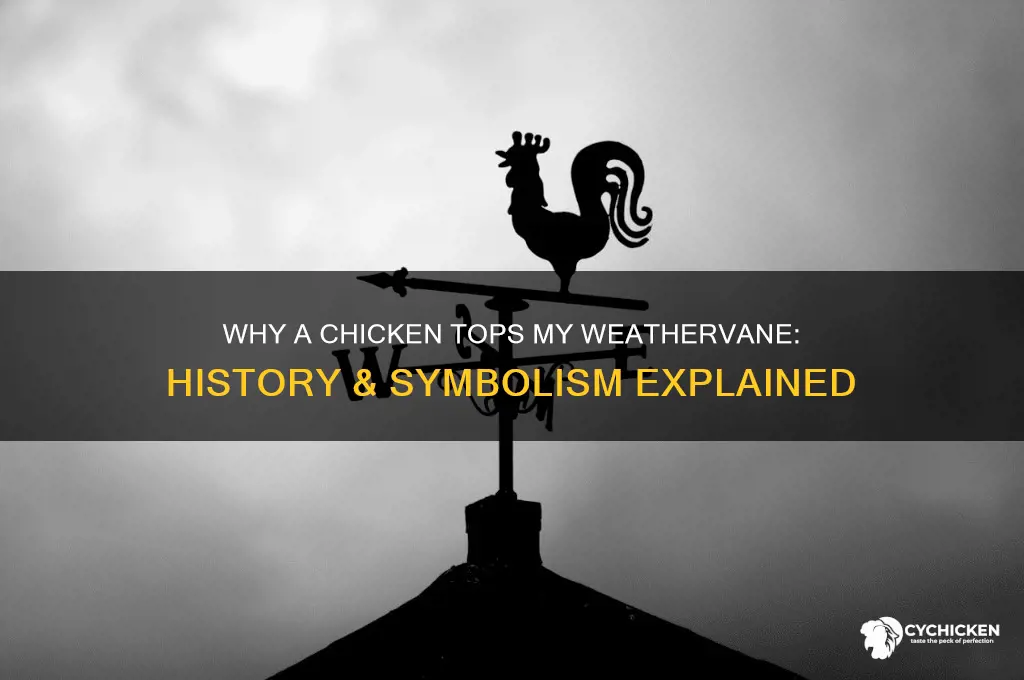 why is there a chicken on my weathervane