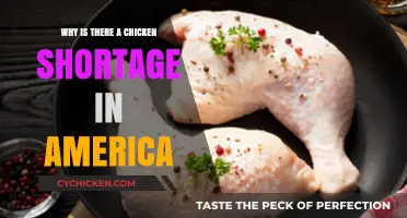 Why America's Chicken Shortage is Happening: Causes and Consequences