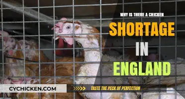 England's Chicken Crisis: Causes and Consequences of the Shortage