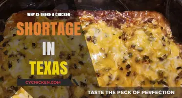 Texas Chicken Shortage: Causes, Impact, and Solutions Explained