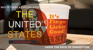 Chicken Shortage: US Supply Crisis Explained