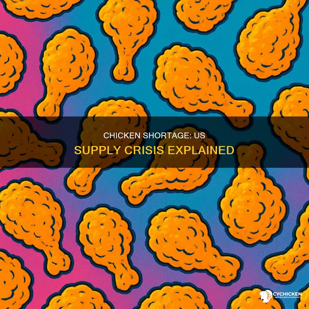 why is there a chicken shortage in the united states