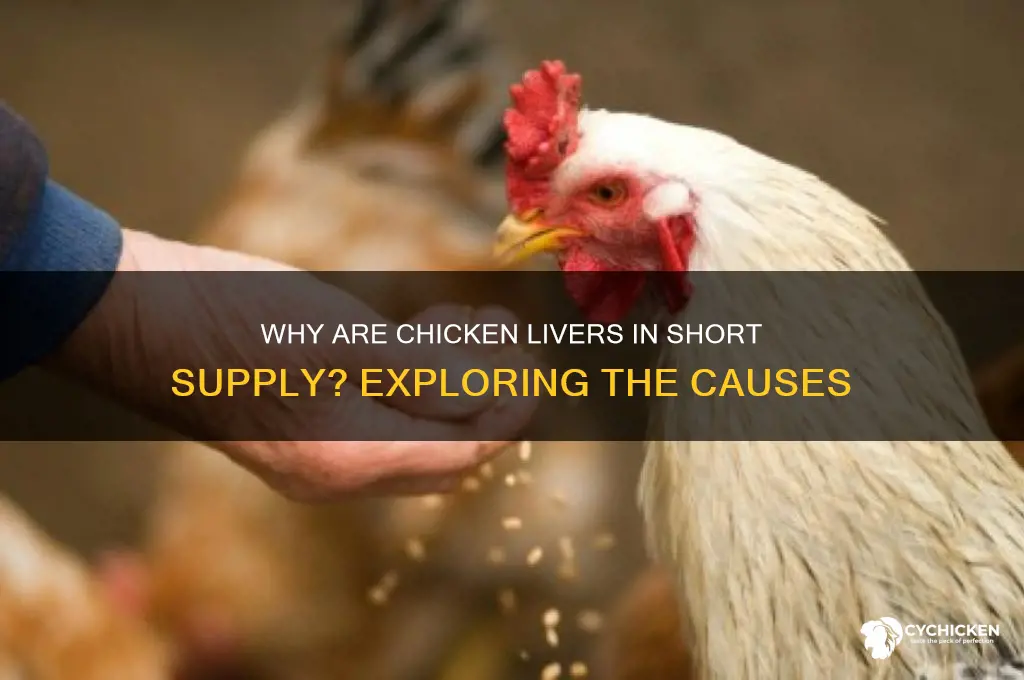 why is there a shortage of chicken livers