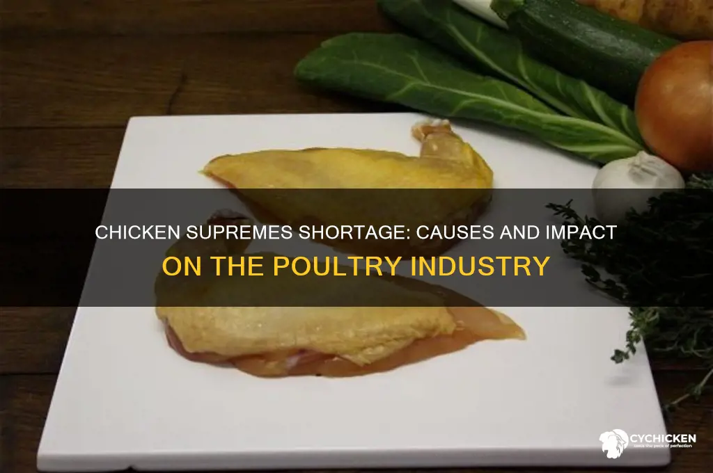 why is there a shortage of chicken supremes