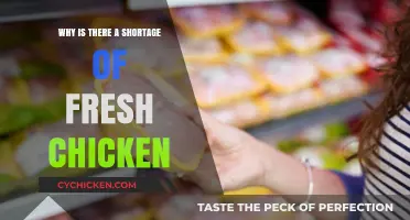 Fresh Chicken Shortage: Causes and Impact on Consumers and Markets