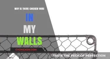 Why Chicken Wire in Walls? Uncovering Its Surprising Purpose