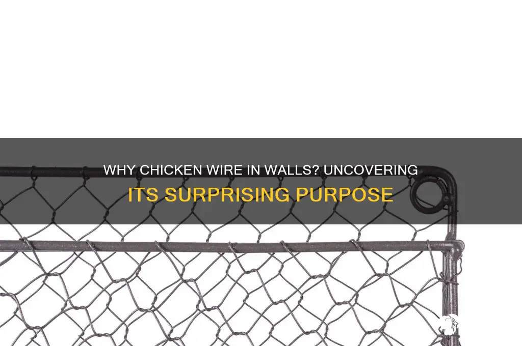 why is there chicken wire in my walls