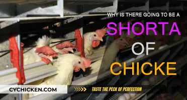 Chicken Shortage: What's Behind the Supply Crunch?