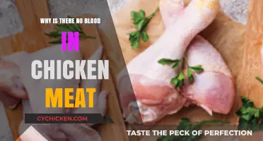 Why Chicken Meat Appears Blood-Free: Uncovering the Surprising Truth