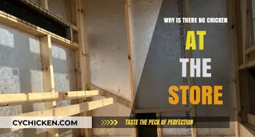 Why Are Store Shelves Empty of Chicken? Exploring the Causes